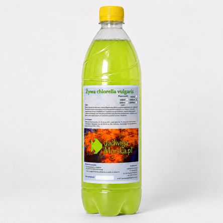 Chlorella vulgaris 1L (LIVE)