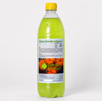 Chlorella vulgaris 1L (LIVE)