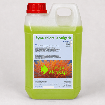 Chlorella vulgaris 2L (LIVE)