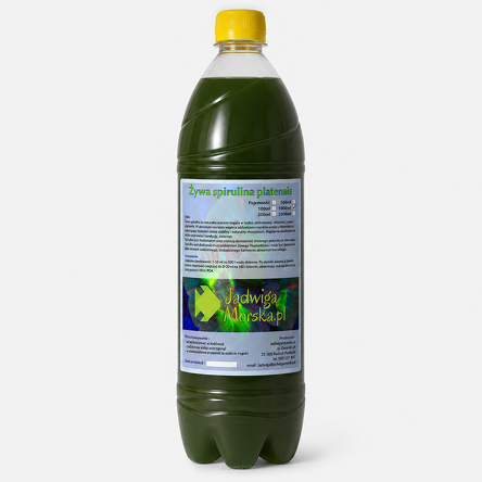 Spirulina platensis 1L (LIVE)