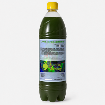 Spirulina platensis 1L (LIVE)