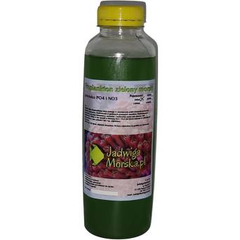 Fitoplankton przeciwko po4 i no3 - 0.5 L
